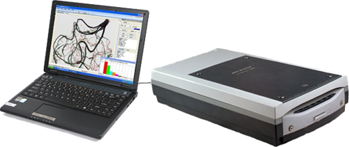 植物根系的功能與數(shù)據(jù)處理服務(wù)在生態(tài)研究中的應(yīng)用