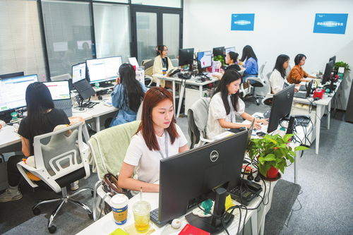 海口加速數(shù)據(jù)跨境業(yè)務(wù)發(fā)展，打造數(shù)字高地與軟件開(kāi)發(fā)新引擎